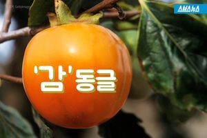 사이좋게 '감' 하나씩&hellip;따뜻한 경비원 이야기