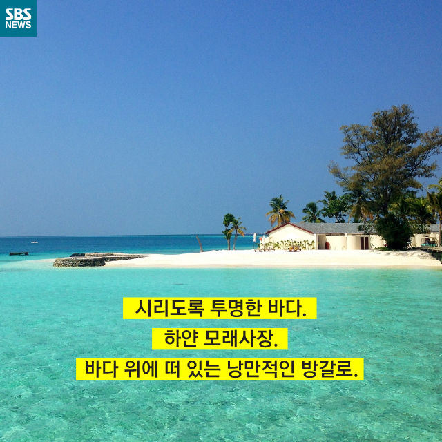 메인이미지  3 : 