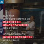섬네일이미지  5: