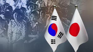 위안부협의 日대표 "다른 입장 속 접점찾는 노력했다"