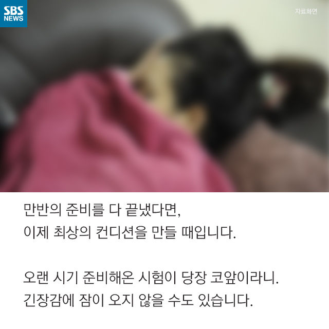 메인이미지  12 : 