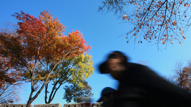 메인이미지  2 : 청명한 가을 날씨를 보인 12일 남산타워 인근에서 바라본 서울 하늘이 파랗다.