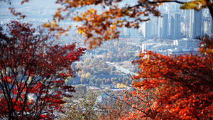[취재파일] 되찾은 가을하늘, 문제는 미세먼지…일요일엔 우산 준비하세요.