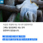 섬네일이미지  4: