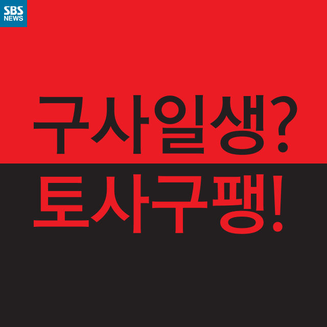 메인이미지  1 : 