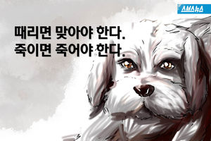 때리면 맞아야 한다. 죽이면 죽어야 한다..