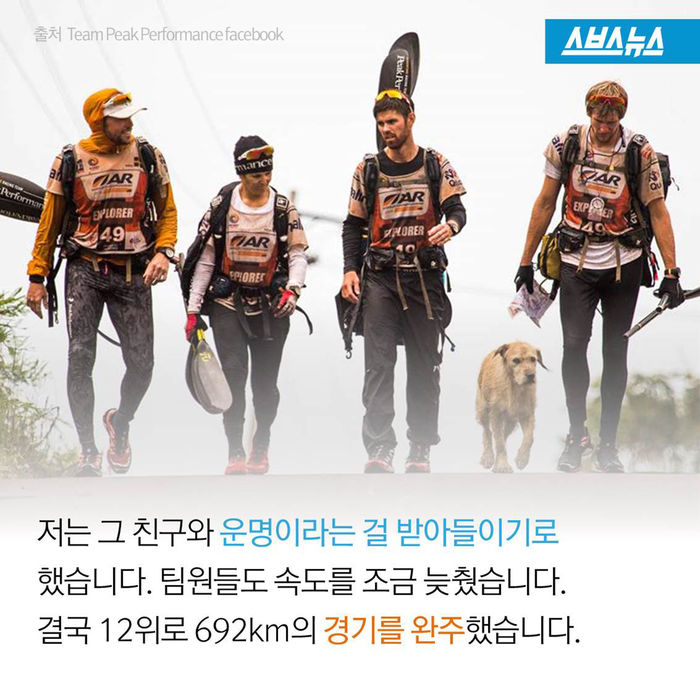 메인이미지  1 : 