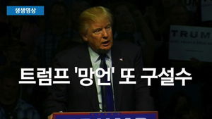 [생생영상] "총기 소지 허용했으면 파리 테러 없었을 것" 트럼프 또 구설수