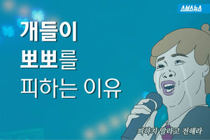 개들이 뽀뽀를 피하는 이유..