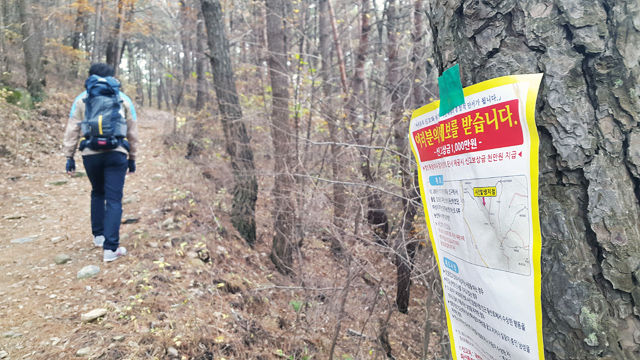 메인이미지  2 : 16일 오전 경남 창원시 마산회원구 원계마을 무학산 등산로에 시민제보 전단이 붙어 있다. 