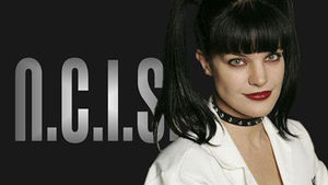 美 드라마 'NCIS' 여배우 폴리 페럿 집앞서 폭행