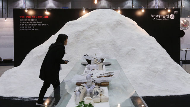 메인이미지  1 : 18일 경기도 고양시 킨텍스에서 열린 2015 슬로 푸드국제페스티벌에서 관람객이 천일염을 살펴보고 있다. 