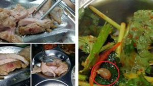 "덜익은 치킨, 달팽이 채소"&hellip;학부모들 급식개선 호소