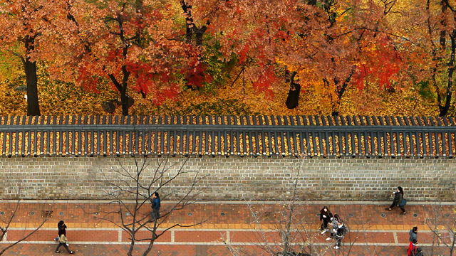 메인이미지  7 : 청명한 가을 날씨를 보인 20일 오후 시민들이 가을색으로 물든 덕수궁 돌담길을 걷고 있다.