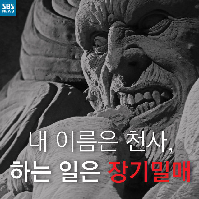 메인이미지  1 : 