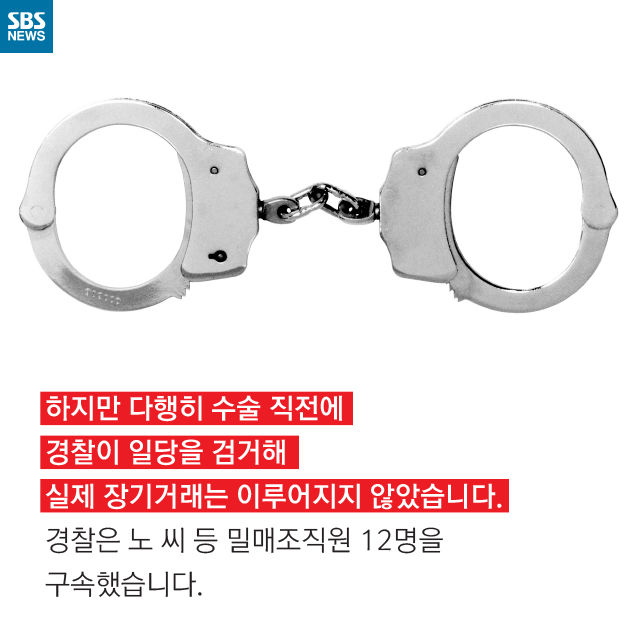 메인이미지  9 : 