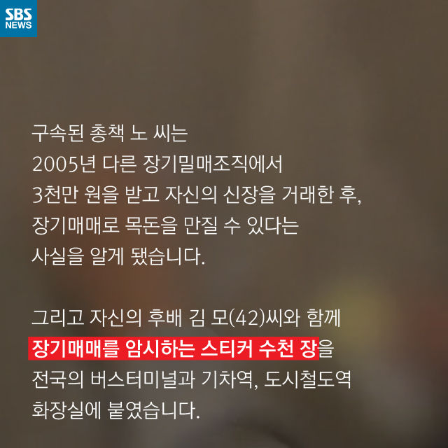 메인이미지  11 : 