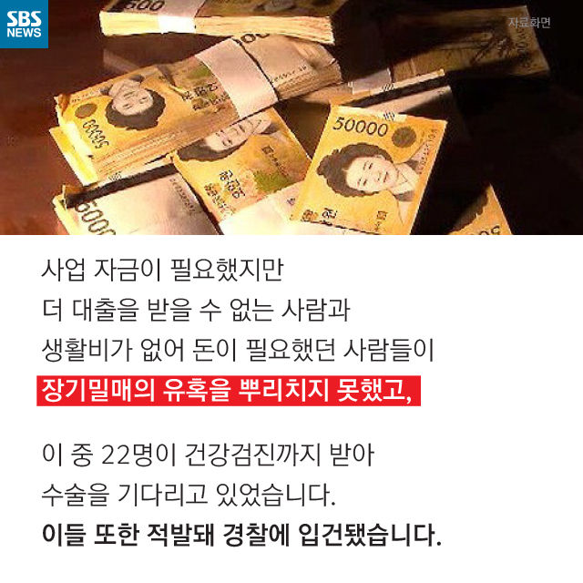 메인이미지  13 : 