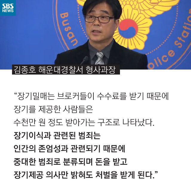 메인이미지  15 : 