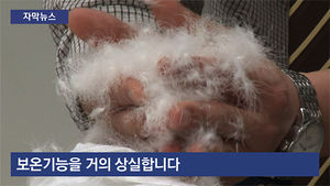 [자막뉴스] 100% 거위 솜털 뜯어보니&hellip;감쪽같이 속인 함량