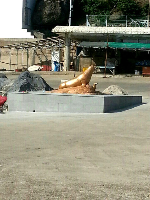 메인이미지  2 : 해양수산부는 과거 동해에 서식했으나 자취를 감춘 강치 복원을 염원하는 뜻을 담아 울릉도 통구미에 강치 동상을 설치했다. 강치 동상은 길이 5ｍ, 너비 4.5ｍ 금산석 재질 기단석 위에 길이 3.1ｍ, 너비 2.5ｍ, 높이 1.5ｍ 규모의 청동 재질로 세워졌다. 