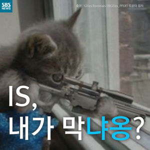 [카드뉴스] IS, 내가 막냐옹?