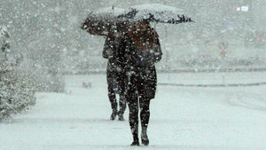 [취재파일] 지난해와는 사뭇 다른 12월…맹추위는 언제부터?