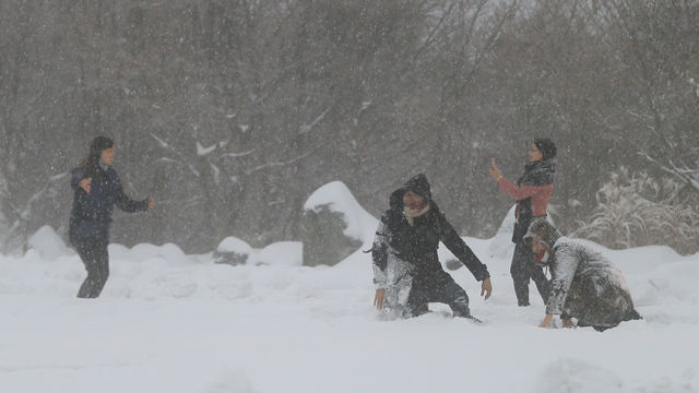 메인이미지  5 :  제주 산간에 대설경보가 내린 26일 오전 한라산 어리목 입구를 찾은 중국인 관광객들이 눈 구경을 하고 있다. (제주=연합뉴스)