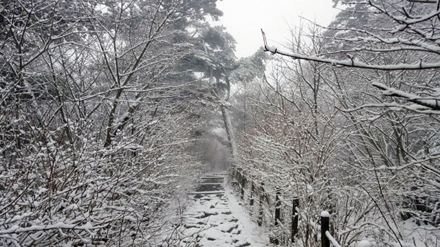 메인이미지  4 : 26일 지리산에 올해 첫눈이 내렸다. 올해 첫눈은 작년보다 5일 일찍 내렸다고 창원기상대는 밝혔다.