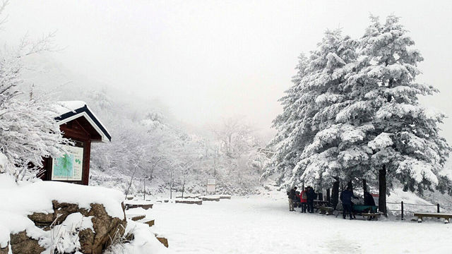 메인이미지  2 : 지난 25일부터 속리산에 10㎝ 안팎의 많은 눈이 내렸다. 문장대 주변 등산로가 흰 눈에 덮여있다. (보은=연합뉴스)