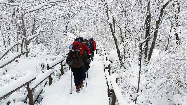 메인이미지  3 : 지난 25일부터 속리산에 10㎝ 안팎의 많은 눈이 내렸다. 27일 등산객들이 흰 눈 덮인 문장대 등산로를 오르고 있다. (보은=연합뉴스)