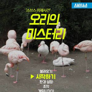 자신을 홍학이라고 생각하는 오리?&hellip;드러난 '반전'
