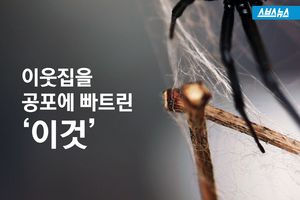 '거미줄에 걸린 새?'&hellip;뒷마당에서 찍힌 사진 '공포'