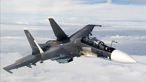 "러시아, 시리아에 최신예 Su-30, Su-27 편대 추가 투입 검토"