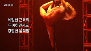 [비디오머그] ‘우아하게 때론 강렬하게’ 국제 폴댄스 챔피언 대회
