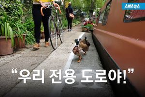 물가 따라 그려진 하안색 선&hellip;'오리 전용 도로'