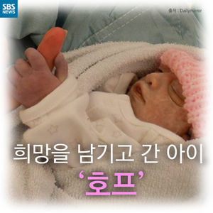 [카드뉴스] 희망을 남기고 간 천사, '호프'