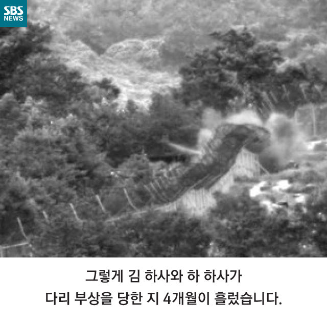 메인이미지  8 : 