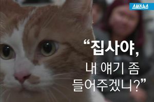 하루종일 끊임없이 우는 고양이&hellip;귀여운 '반전'