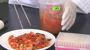 전통 발효 식품, 아토피 피부염 예방&middot;완화 돕는다