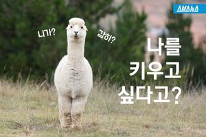 SNS 달군 '애완용 알파카'&hellip;키워도 괜찮을까?