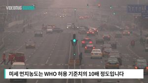 [자막뉴스] '최악 스모그'에 33중 연쇄 추돌&hellip;현장 '아수라장'