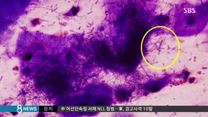 미생물을 서랍에 보관한 건국대 실험실