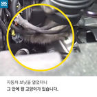 섬네일이미지  2: