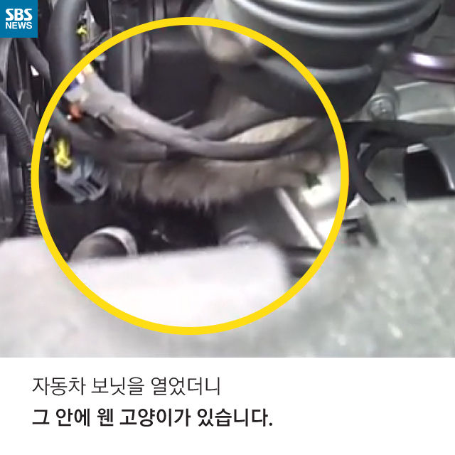 메인이미지  2 : 