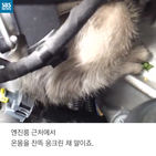 섬네일이미지  3: