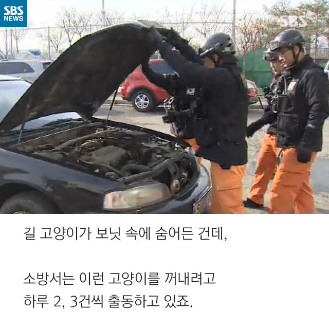 메인이미지  4 : 