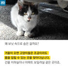 섬네일이미지  5: