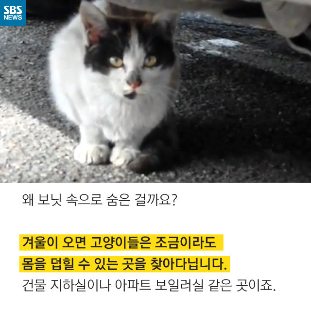 메인이미지  5 : 