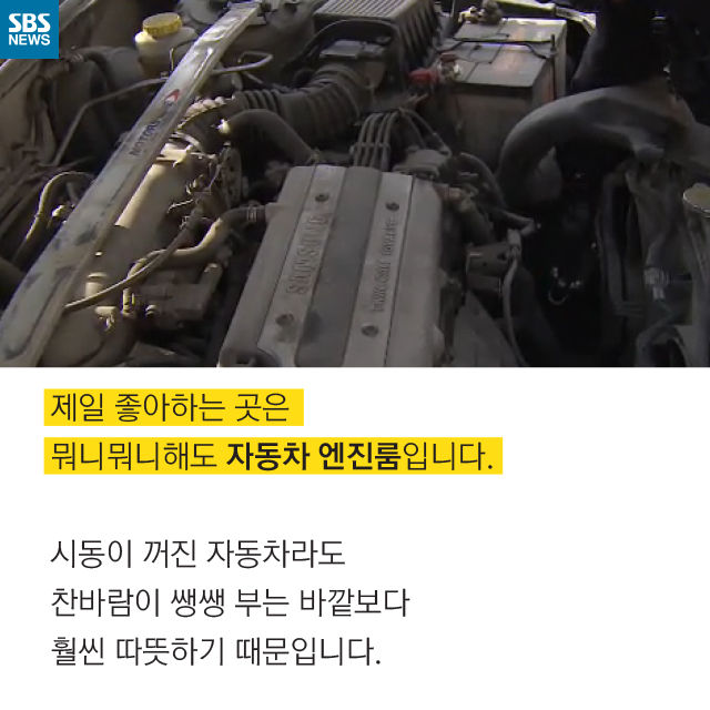 메인이미지  6 : 